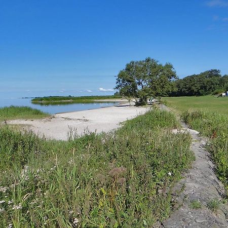 Luxe Safaritent Medley 5 Persoons Op Camping Rijsterbos Exteriér fotografie